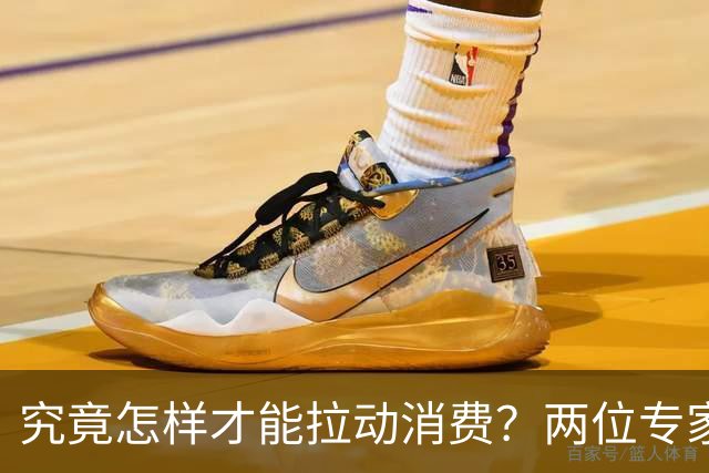 究竟怎样才能拉动消费？两位专家说透了：应该把钱发给低收入人群